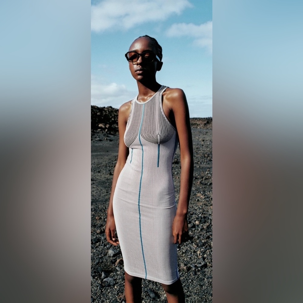 NWT Zara Bodycon Midi Dress